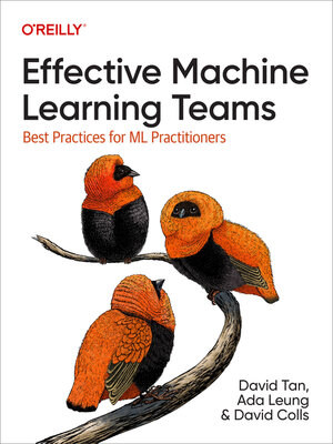 cover image of Effective Machine Learning Teams